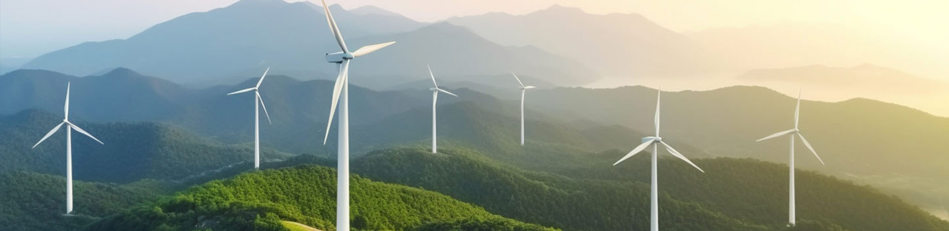 引领风光循环产业新篇章，共筑可持续发展的梦想